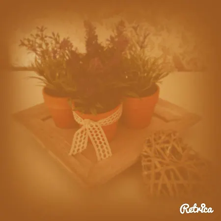 Casa Penelope Appartement *