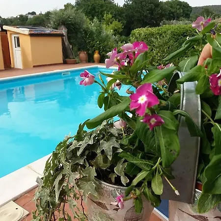 Appartement Casa Penelope Vigne